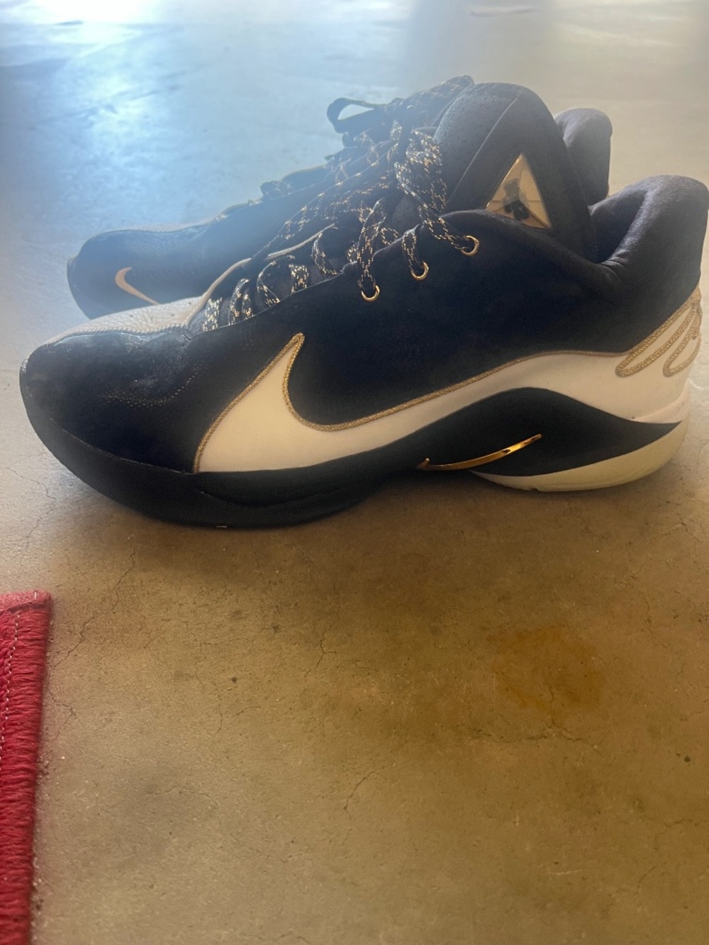 Nike XX2 Size 13 LeBron